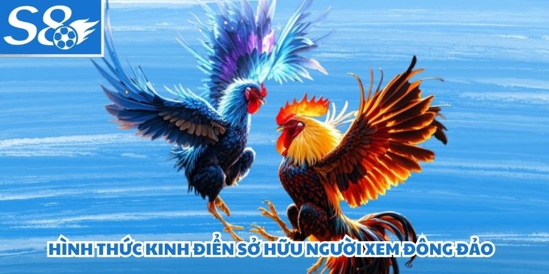 Hình thức kinh điển sở hữu người xem đông đảo