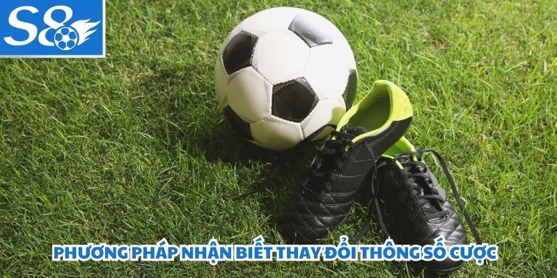 Phương pháp nhận biết thay đổi thông số cược