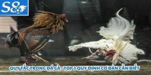 Quy Tắc Trong Đá Gà