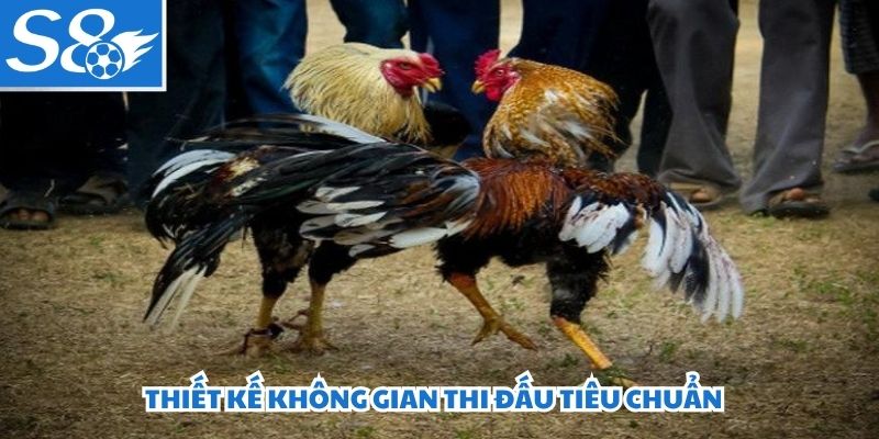 Thiết kế không gian thi đấu tiêu chuẩn