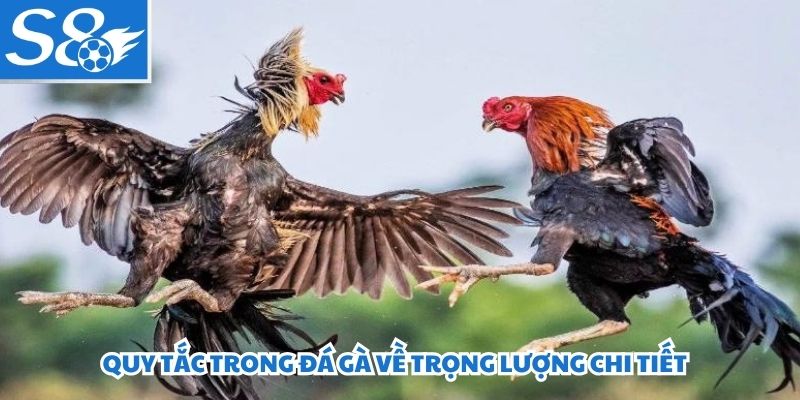 Quy tắc trong đá gà về trọng lượng chi tiết