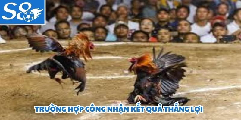 Trường hợp công nhận kết quả thắng lợi