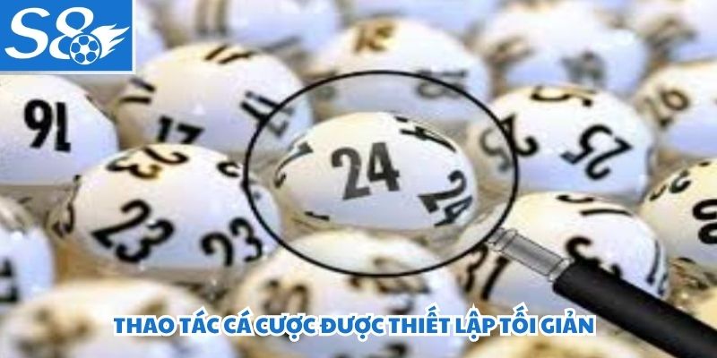 Thao tác cá cược được thiết lập tối giản